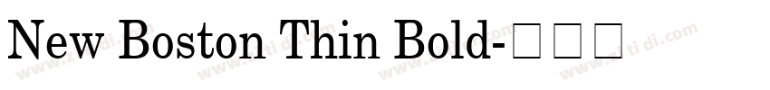 New Boston Thin Bold字体转换